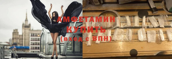 амф Вяземский