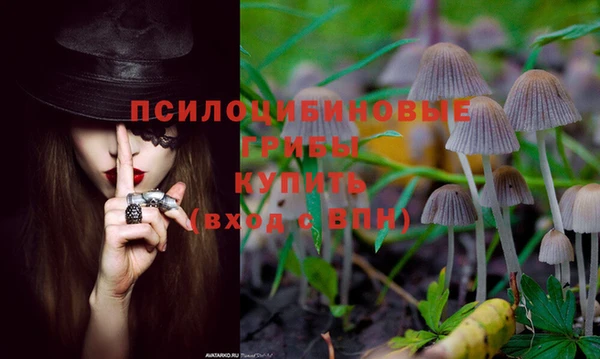 ALPHA-PVP Вязьма