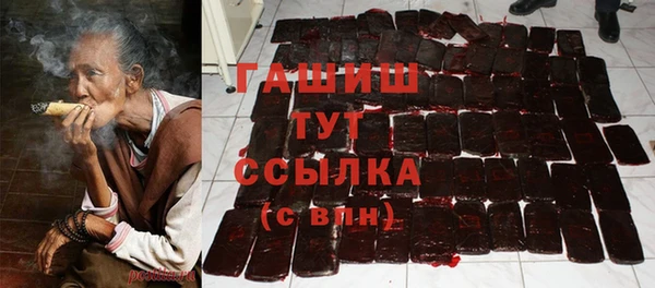 амф Горняк
