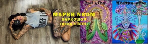 амф Вяземский
