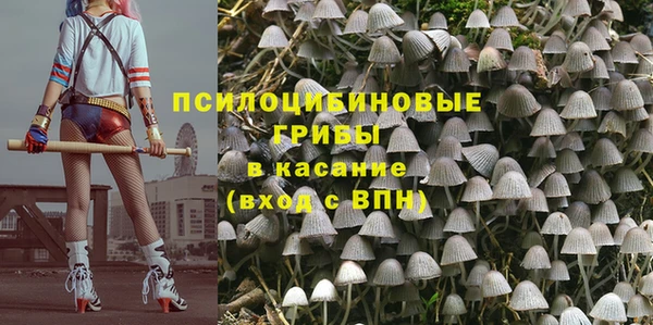 амф Вяземский