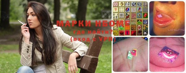 амф Вяземский