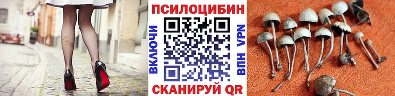 Галлюциногенные грибы Magic Shrooms  купить  сайты  Енисейск 